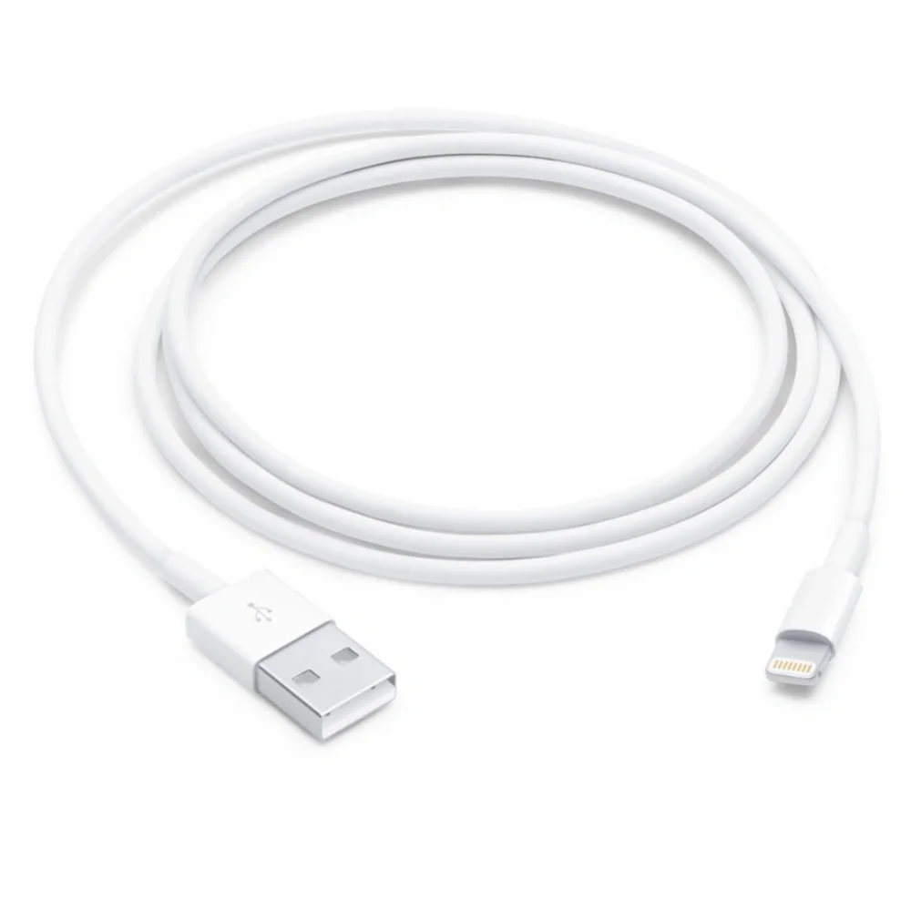 Apple Lightning to USB Cable (1 m)